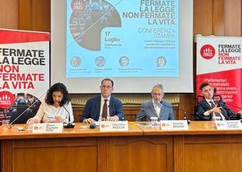 Fine vita Pro Vita Famiglia Su suicidio assistito centrodestra tradisce gli elettori non esiste vuoto normativo