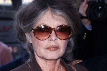 Brigitte Bardot resta ricoverata in ospedale apprensione dei fan per la dive enne