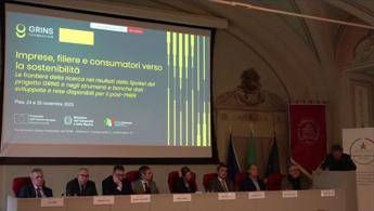 Imprese Grins strumenti e strategie per la transizione verde