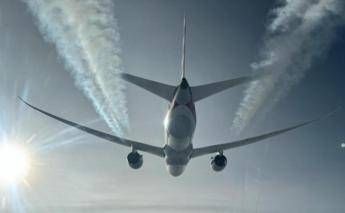 Cimici dei letti a bordo di un aereo proveniente dallAustralia volo Qantas fermato a Fiumicino cose successo