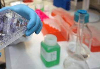 Giornata tumore seno metastatico in Italia oltre mila donne con la malattia﻿