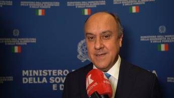 Made in Italy Federdistribuzione Horeca Grande cambiamento distribuzione moderna in ultimi anni