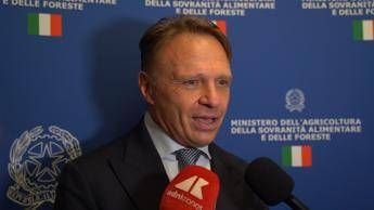 Made in Italy Lollobrigida Significativo far conoscere eccellenze ristorazione