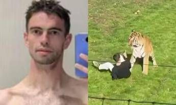 Morto dopo essere stato aggredito da una tigre in un parco identificata la vittima chi era William Chapman