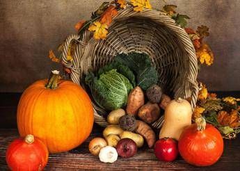 Ora solare dalla zucca ai broccoli fino al melograno i cibi autunnali per ritrovare lequilibrio