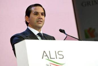 Royal Caribbean Group entra in Alis si rafforza la rete associativa